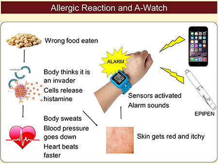 Camelgrain No Allergy L : Amazon.in: Watches